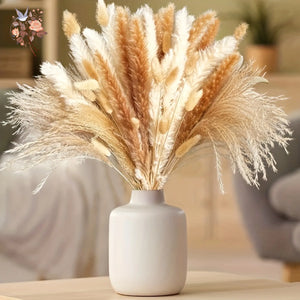 Bouquet Fleurs Séchées Pampas Queue De Lièvre Décor Bohème Maison
