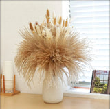 Bouquet Fleurs Séchées Pampas Queue De Lièvre Décor Bohème Maison