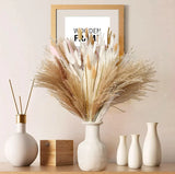 Bouquet Fleurs Séchées Pampas Queue De Lièvre Décor Bohème Maison