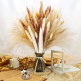 Bouquet Fleurs Séchées Pampas Queue De Lièvre Décor Bohème Maison