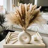 Bouquet Fleurs Séchées Pampas Queue De Lièvre Décor Bohème Maison