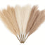Lot de 6 Fleurs Artificielles Pampas en Soie pour Décoration Table