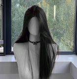 Perruque Longue Noire et Lisse pour Femme