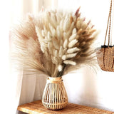 Bouquet Fleurs Séchées Pampas Queue De Lièvre Décor Bohème Maison