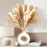 Bouquet Fleurs Séchées Pampas Queue De Lièvre Décor Bohème Maison